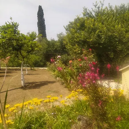 Elm Pouládes