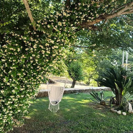 Villa Elm